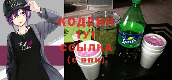 стаф Данков