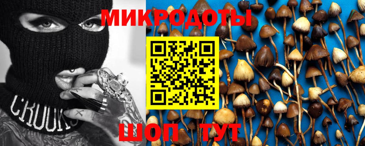 Галлюциногенные грибы Psilocybe Феодосия